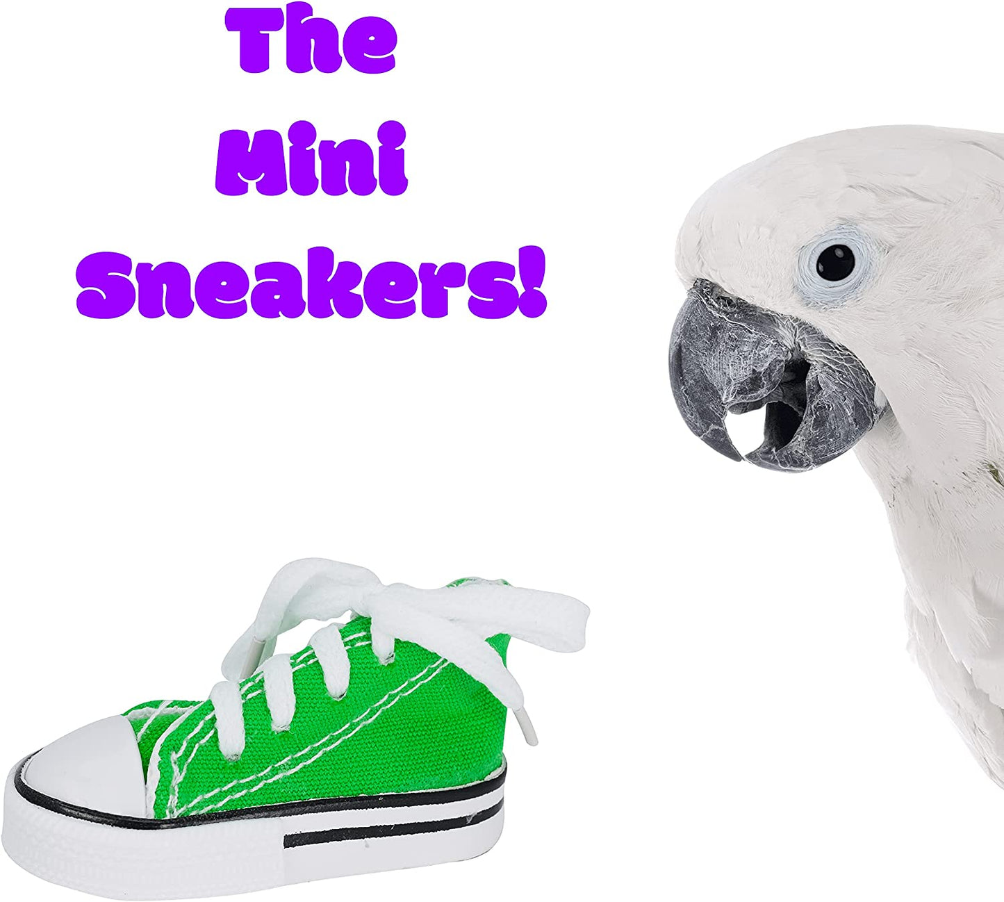 6 Mini Sneaker Bird Toy Parrot Craft Cage Craft Toys Cages Small Dog,Cat Pet Cockatiel,African Grey,Cockatoo.