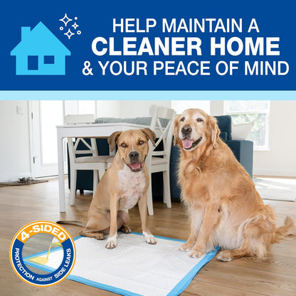 100524768 75-Count Wee-Wee Dog Training Pads, X-Large.