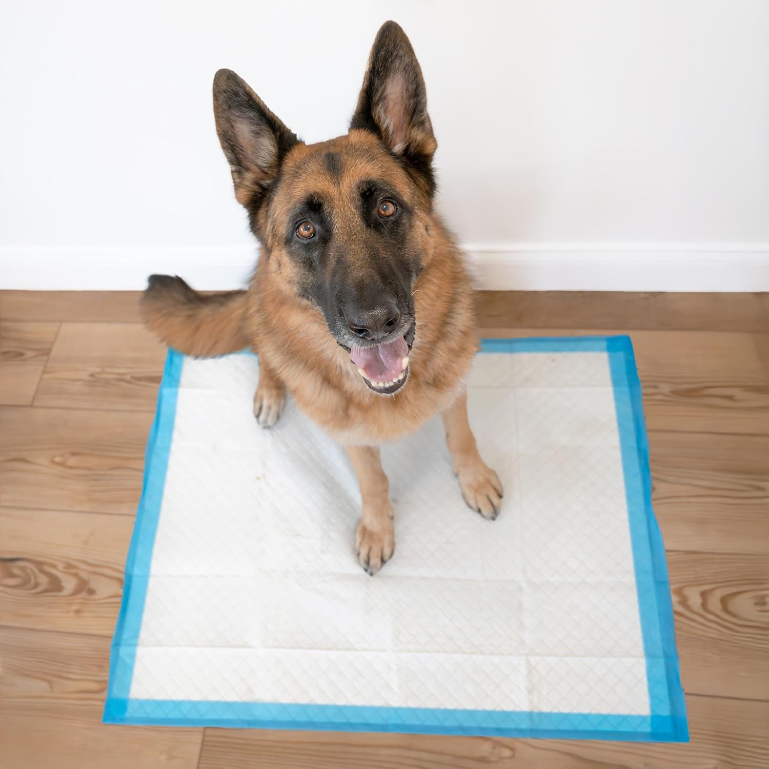 100524768 75-Count Wee-Wee Dog Training Pads, X-Large.