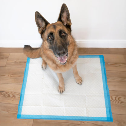 100524768 75-Count Wee-Wee Dog Training Pads, X-Large.