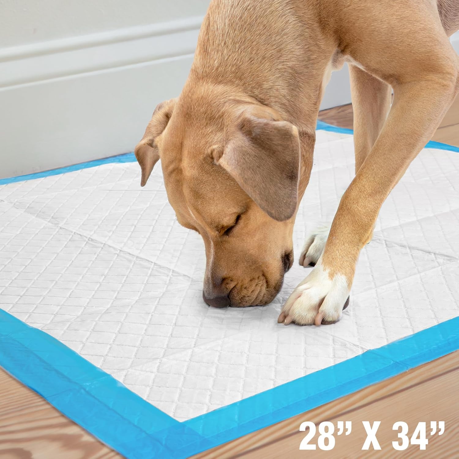 100524768 75-Count Wee-Wee Dog Training Pads, X-Large.