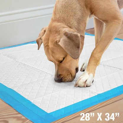 100524768 75-Count Wee-Wee Dog Training Pads, X-Large.
