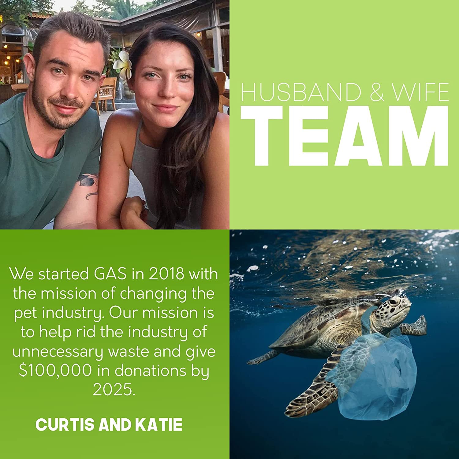 Certified Home Compostable Dog Poop Bags - 240 Pack (16 Rolls) - TUV OK HOME COMPOST Certified - Thick + Leakproof - 10% to Charity - Biodegradable Poop Bags for Dogs and Pet Waste - Doggie Supplies.