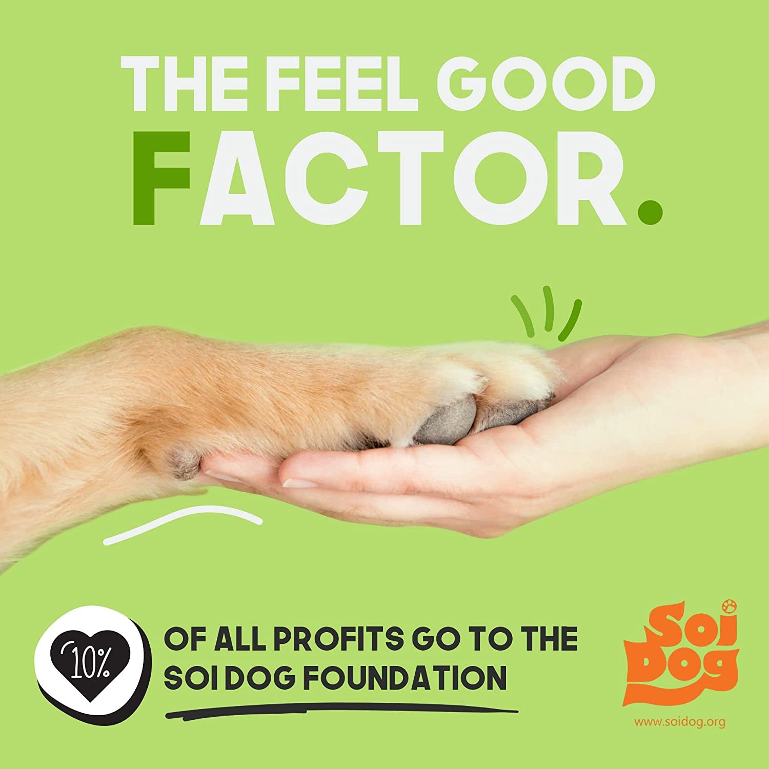 Certified Home Compostable Dog Poop Bags - 240 Pack (16 Rolls) - TUV OK HOME COMPOST Certified - Thick + Leakproof - 10% to Charity - Biodegradable Poop Bags for Dogs and Pet Waste - Doggie Supplies.